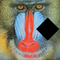 A picture of a monkey with a black diamond cutout.